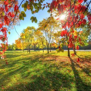 Meet your Posher, Ruth